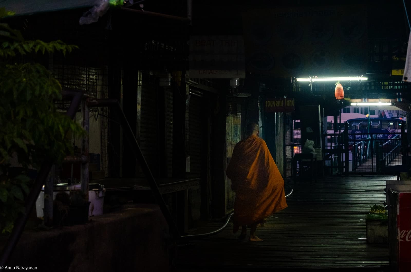 Lone Monk